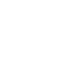 Disagro Logo